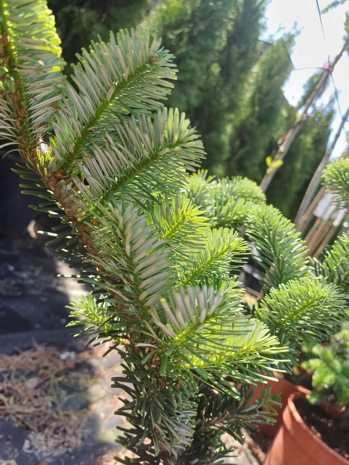 Порно әйел күйеуінен досына жыныстық қатынасқа үйретуді сұрайды Порно бөтелкелер жоп пен киска
